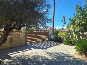 Studio Marelia 2